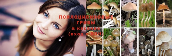 трава Новодвинск
