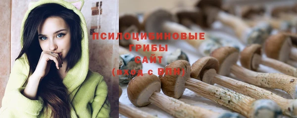 скорость Инсар