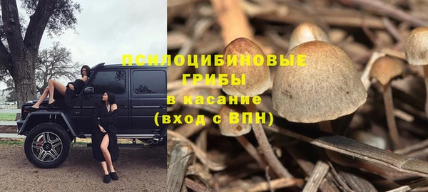 сатива Нязепетровск