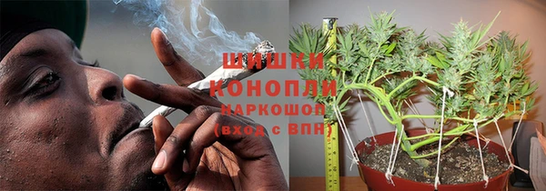 сатива Нязепетровск