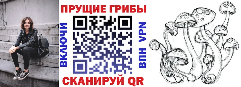 Псилоцибиновые грибы прущие грибы  что такое   Калтан 